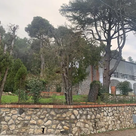 Tara Bed & Breakfast